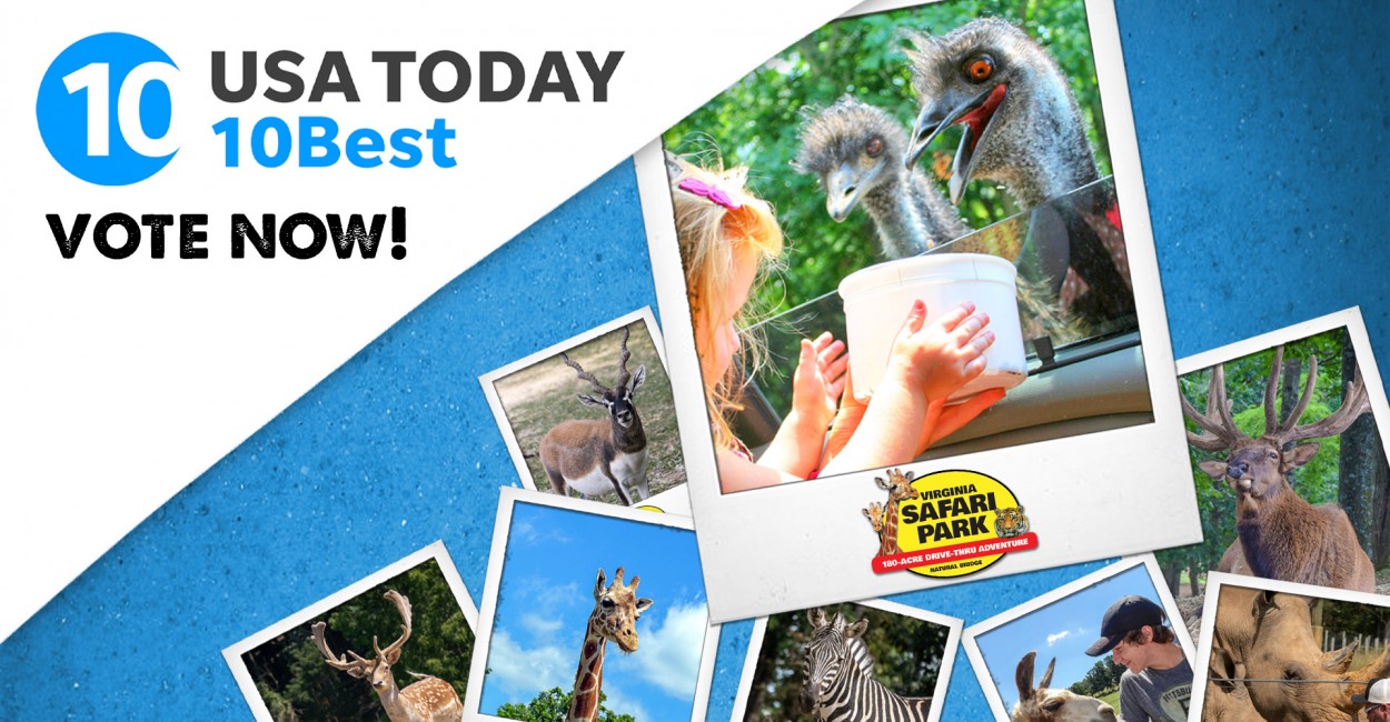 Virginia Safari Park Nominated for USA Today 10Best Award in 2024