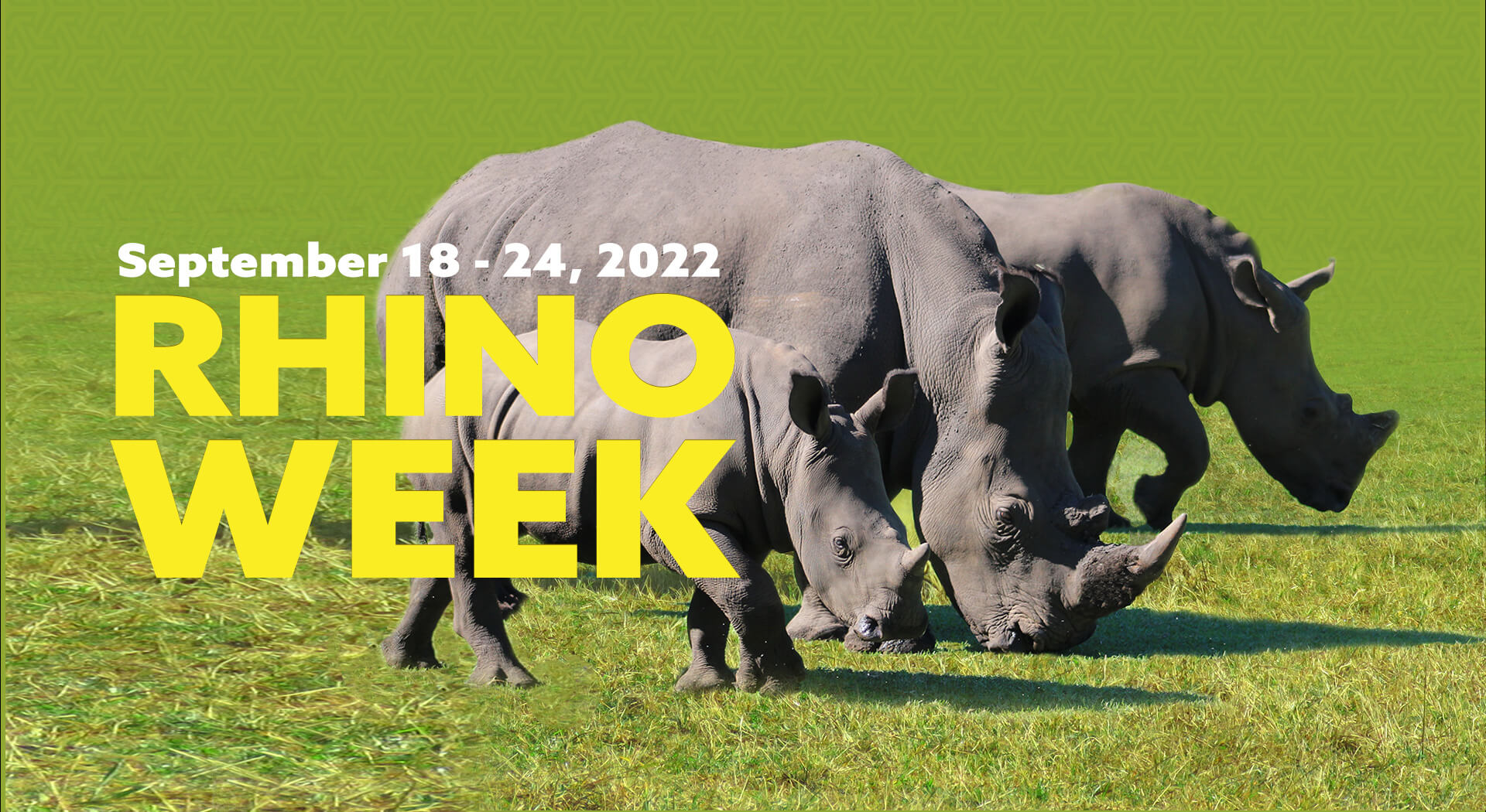World Rhino Week
