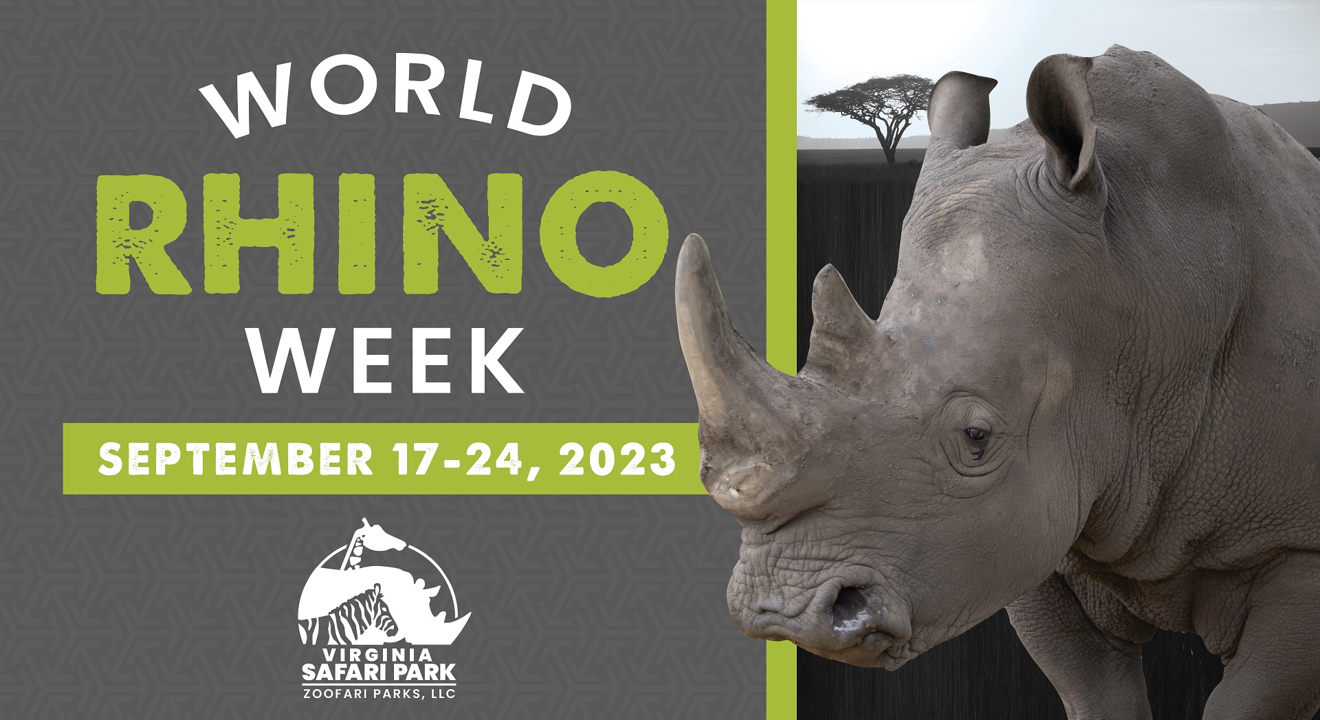 World Rhino Week