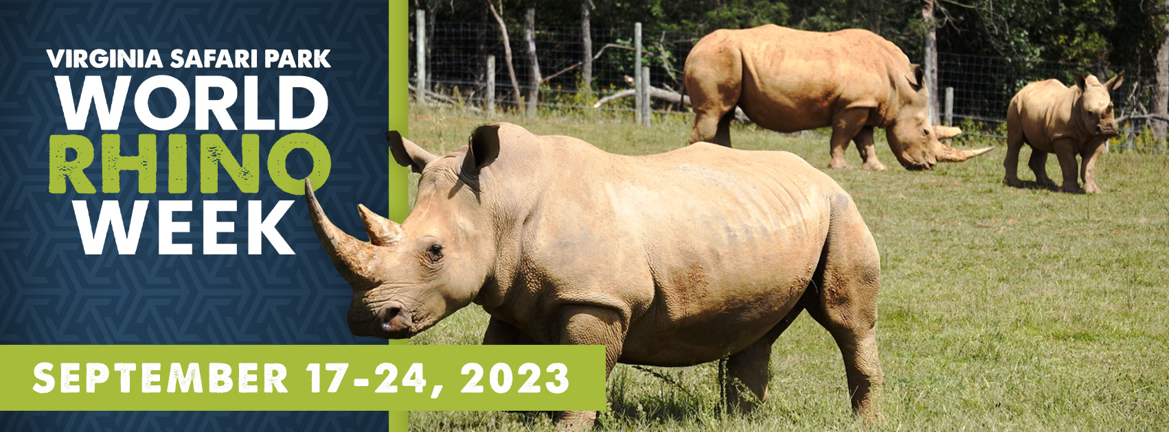 Celebrate Rhino Week at the Virginia Safari Park